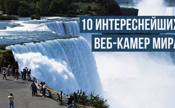 10 интереснейших веб-камер